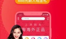 洋码头最新爆料,揭秘跨境电商新趋势与机遇